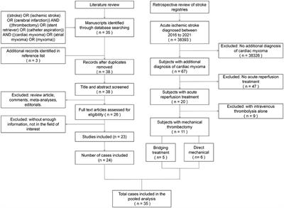 Mechanical Thrombectomy for Acute Ischemic Stroke in Patients With Cardiac Myxoma: A Case Series and Pooled Analysis